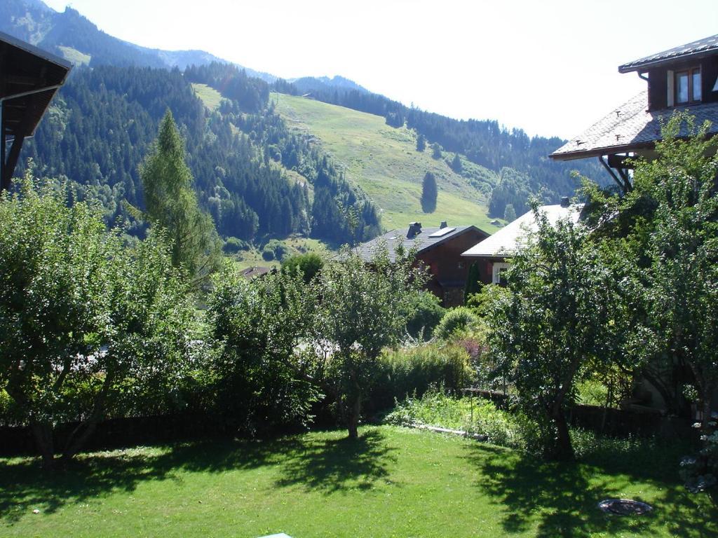 La Ferme du Château Abondance Exterior foto